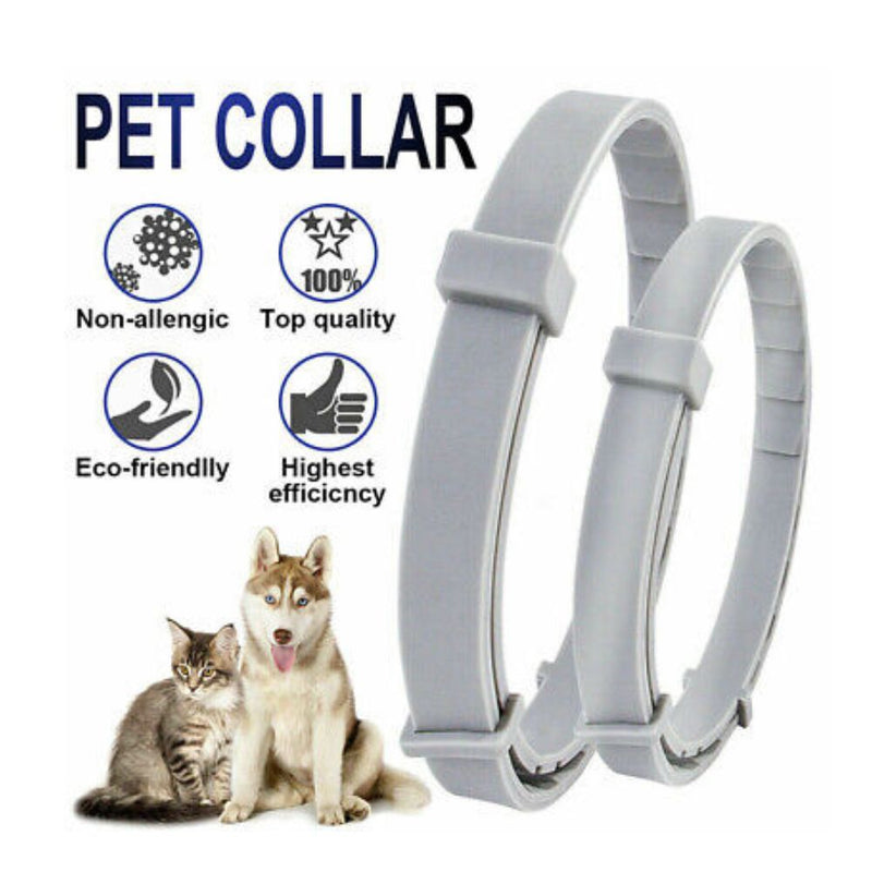 Anti-Flea, Tick & Mosquito Repellant Pet Collar