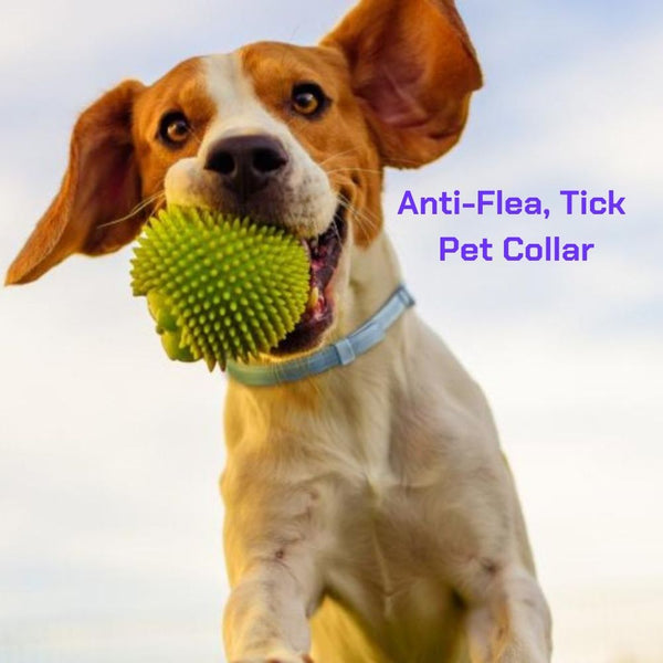 Anti-Flea, Tick & Mosquito Repellant Pet Collar